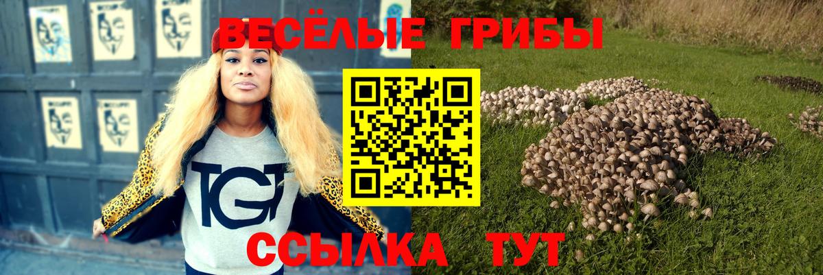 Псилоцибиновые грибы Cubensis  Вход с VPN  Казань 