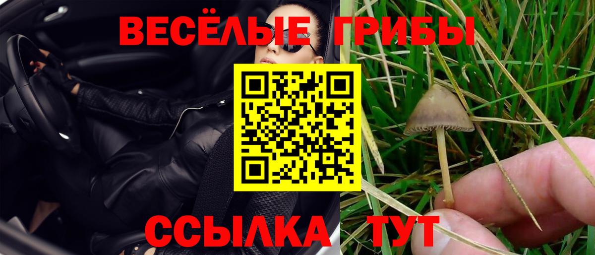 Псилоцибиновые грибы мухоморы Казань